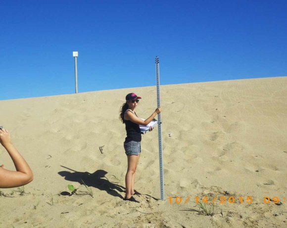 Isabela Dunes Restoration